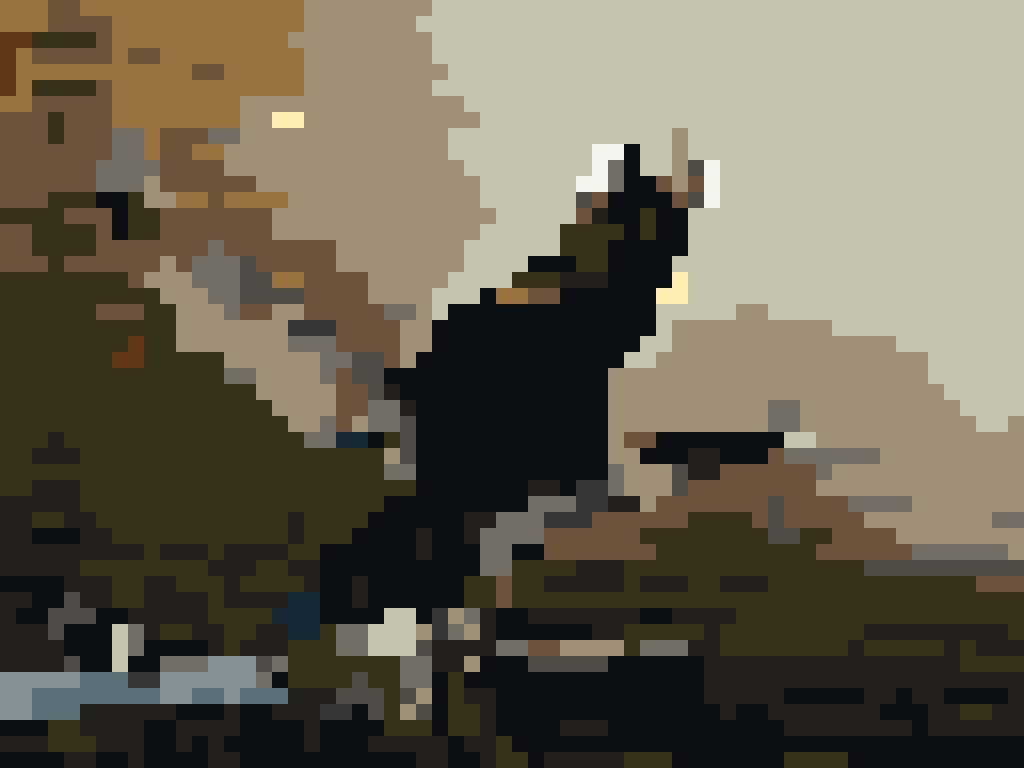 Lámina 6, El cormorán